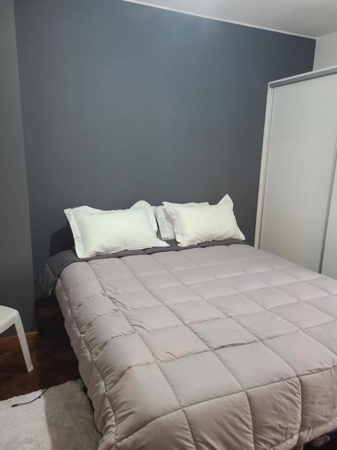 شقة Departamento Centrico, Pasos Peatonal ميندوزا المظهر الخارجي الصورة